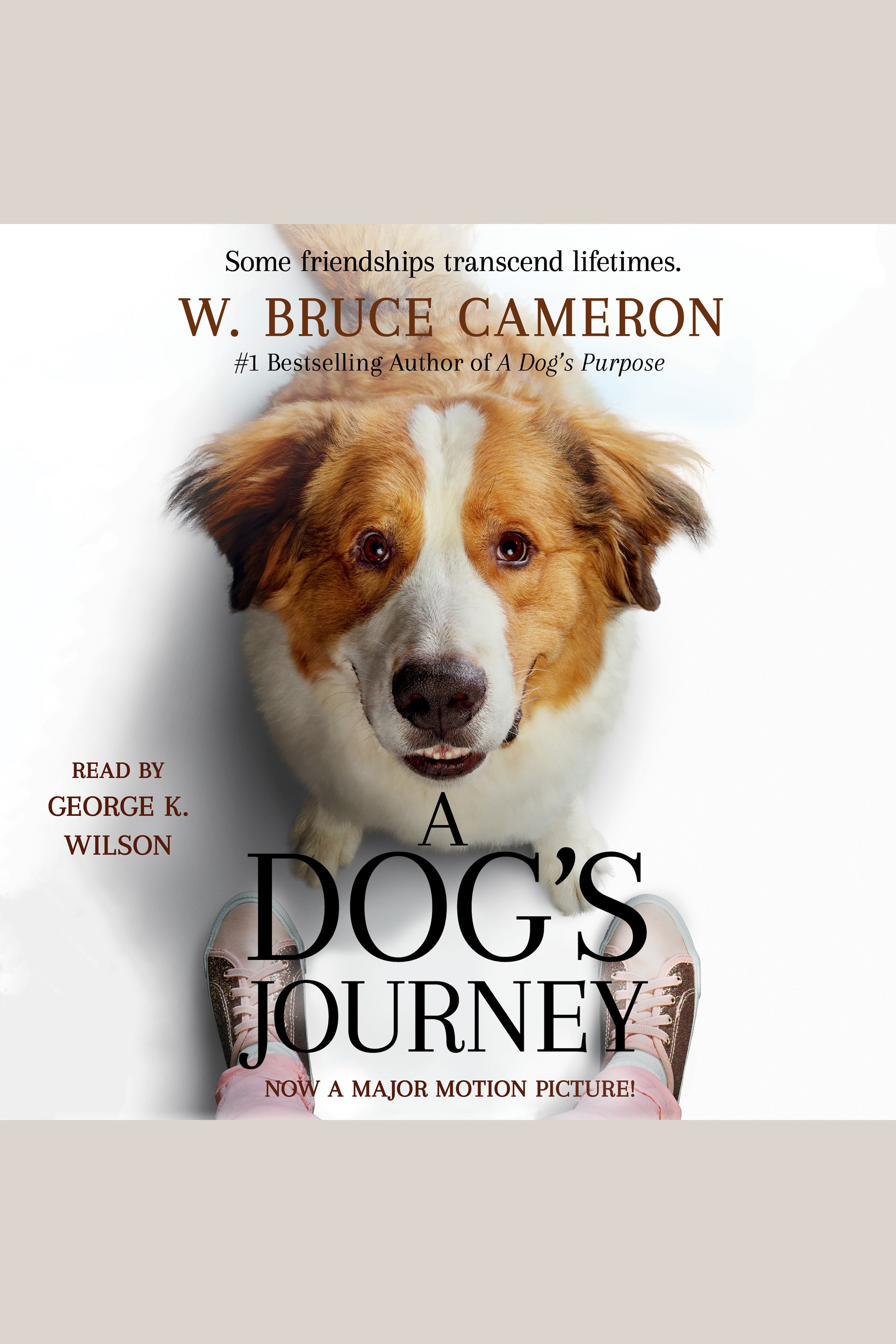 A dog's journey cover image cdn