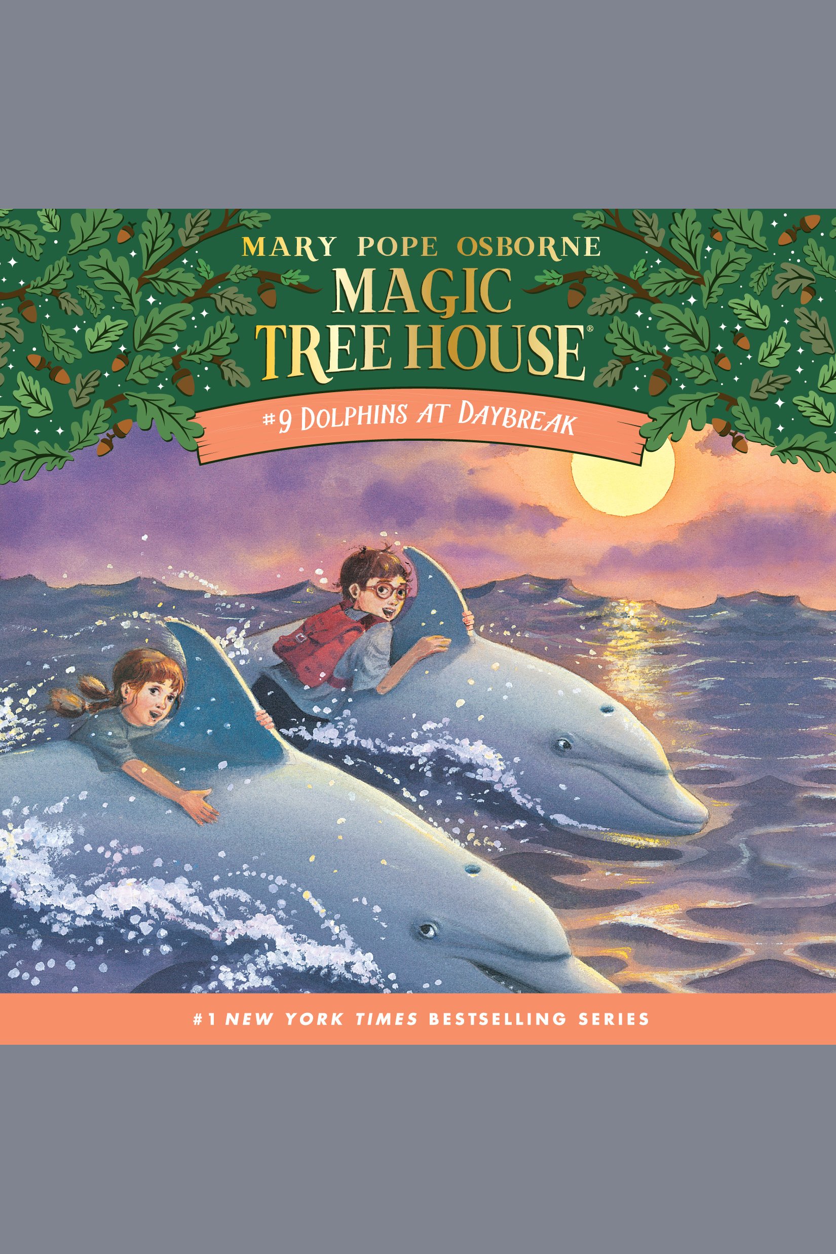 Dolphins at daybreak cover image cdn