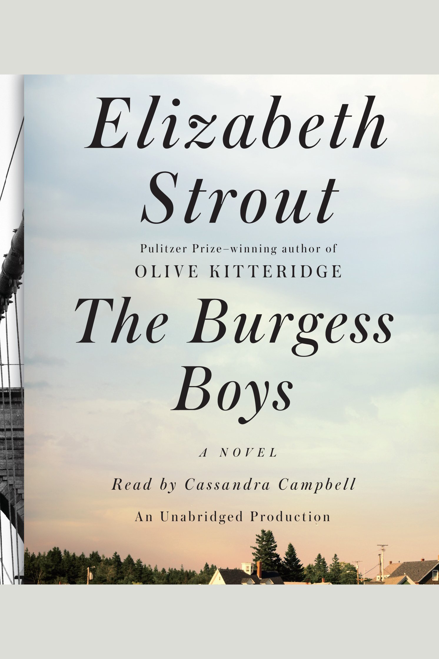 The Burgess boys cover image cdn