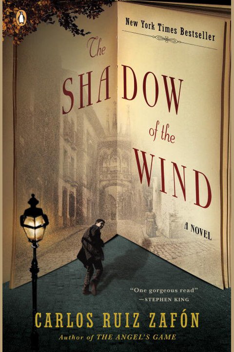 The shadow of the wind cover image cdn