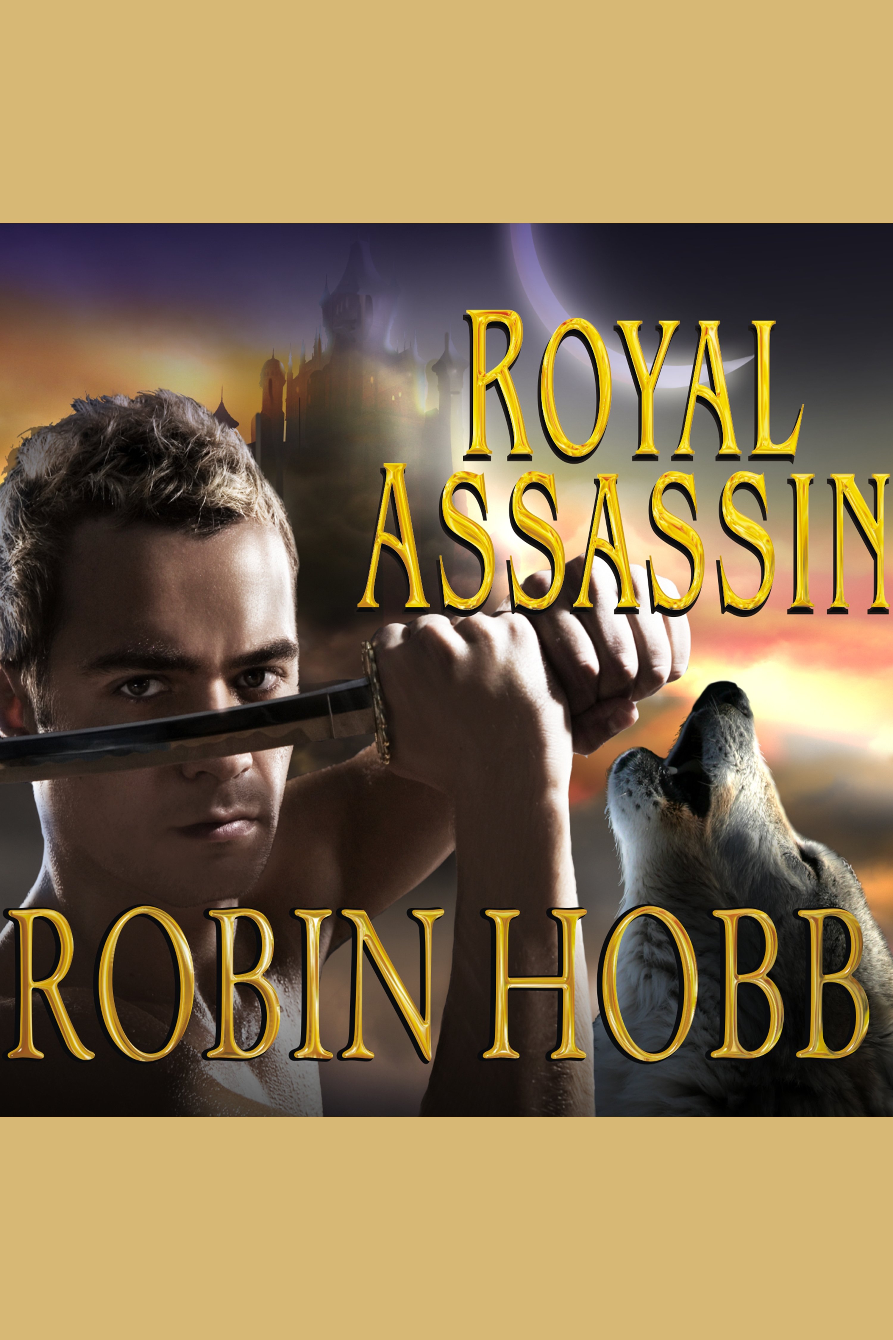 Royal assassin cover image cdn