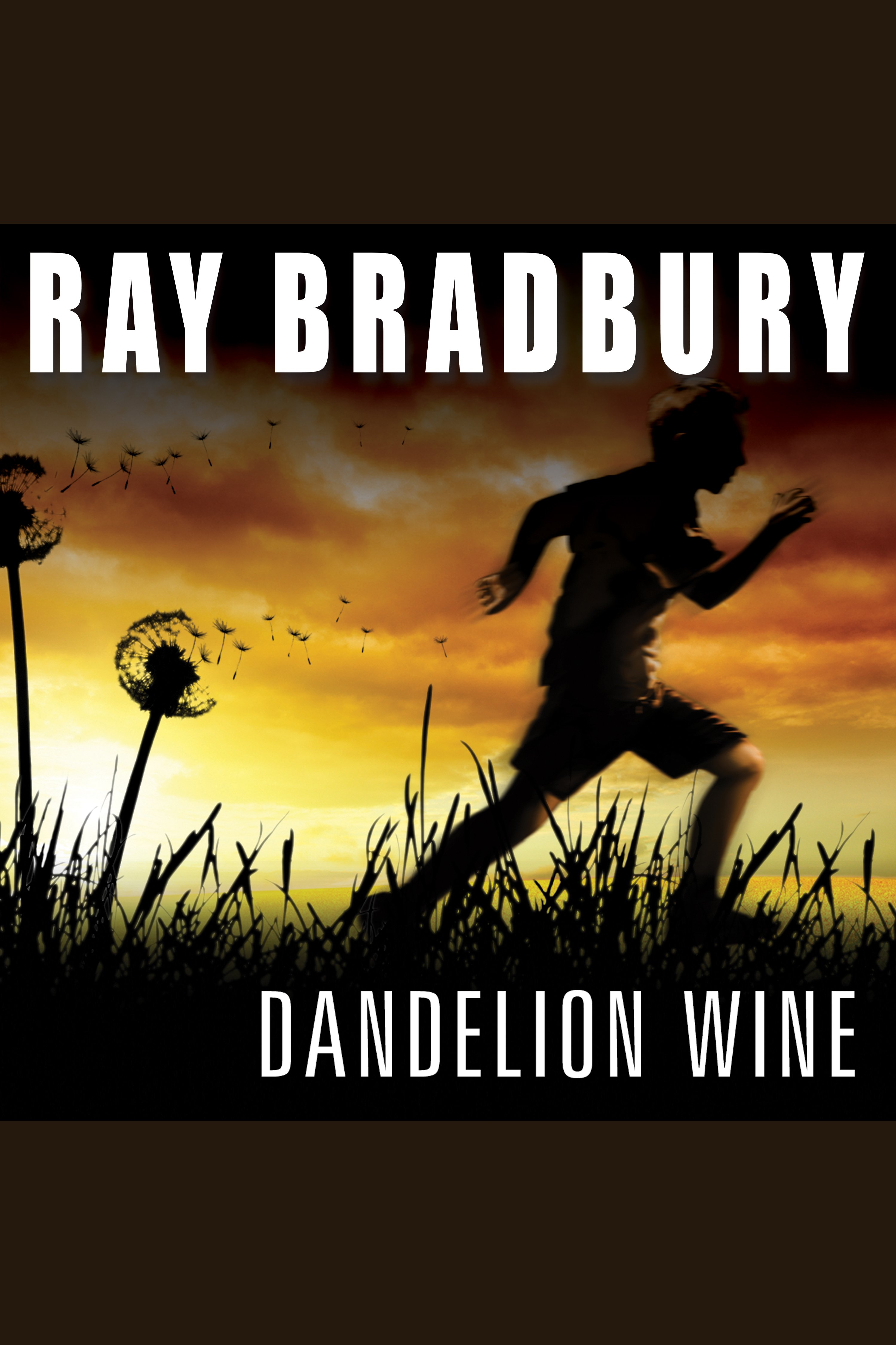 Dandelion wine cover image cdn