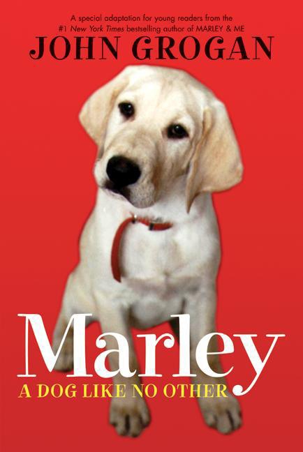Marley cover image cdn