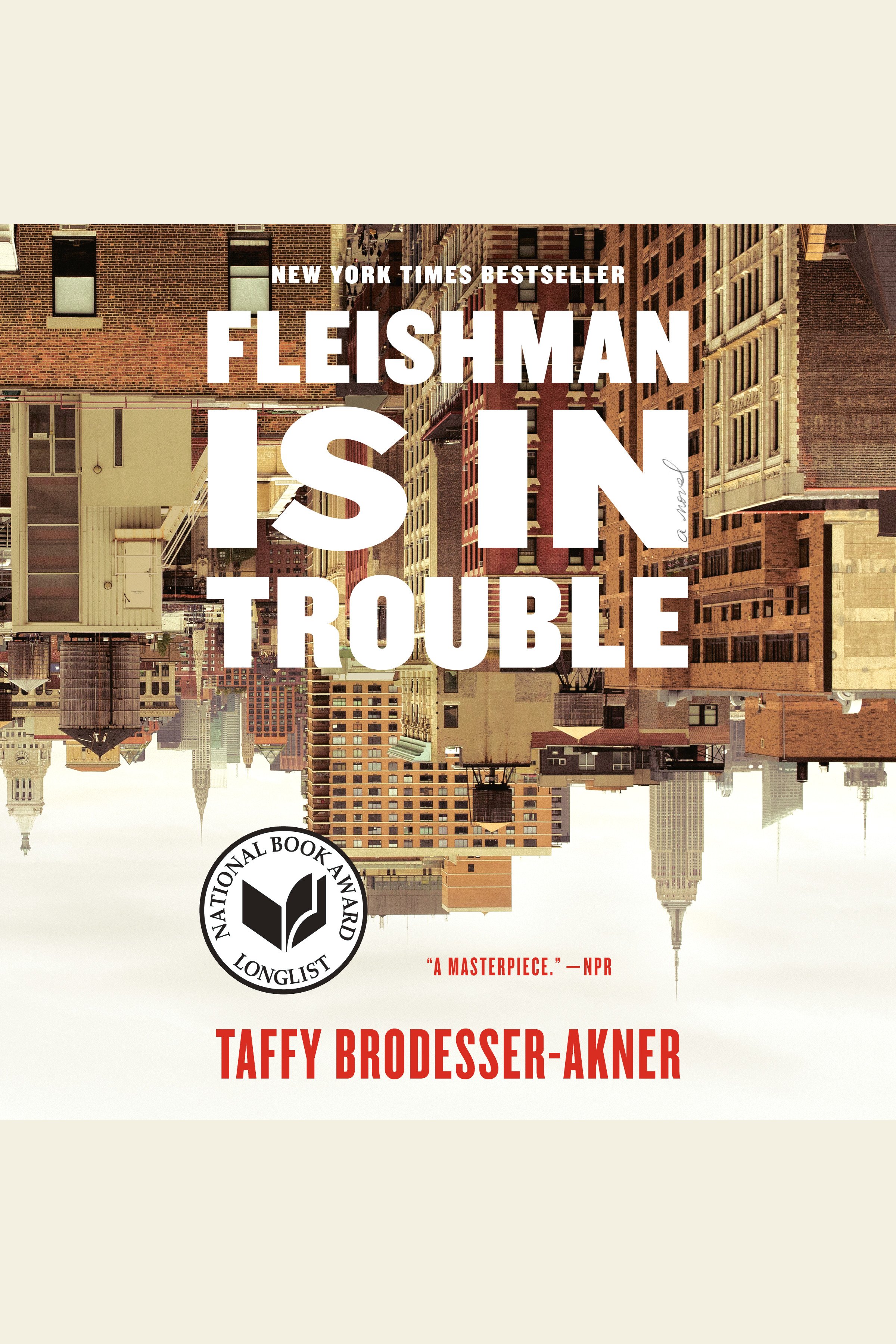 Fleishman is in trouble cover image cdn