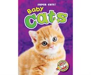 Baby cats cover image cdn