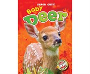 Baby deer cover image cdn