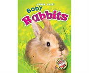 Baby rabbits cover image cdn