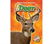 Deer cover image cdn