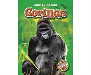 Gorillas cover image cdn