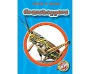 Grasshoppers cover image cdn