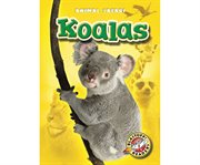 Koalas cover image cdn