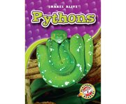 Pythons cover image cdn