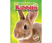 Rabbits cover image cdn