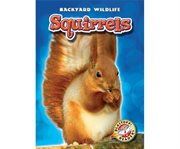 Squirrels cover image cdn