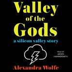 The valley of the gods : a Silicon Valley story cover image cdn