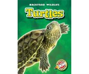 Turtles cover image cdn