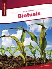 Examining biofuels cover image cdn