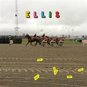 Hverdag og fest cover image cdn