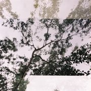 Past cover image cdn