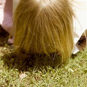 Turnkey pilot cover image cdn