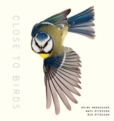 Close to birds : an intimate look at our feathered friends  cover image cdn