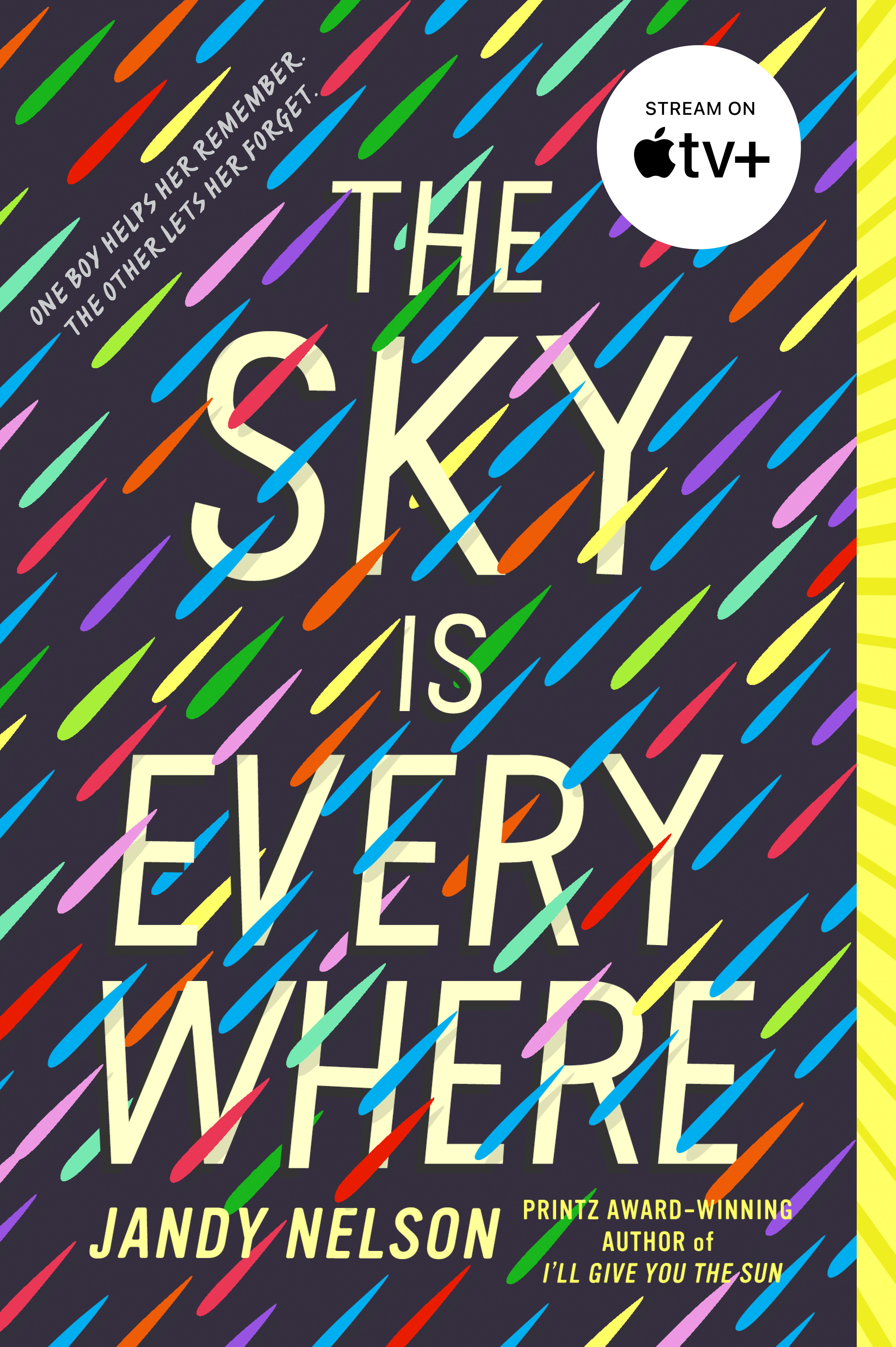 The sky is everywhere cover image cdn