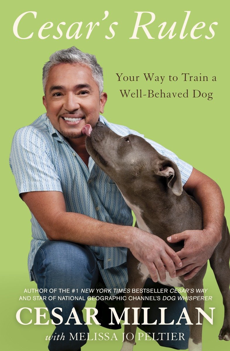 Cesar's rules your way to train a well-behaved dog cover image cdn