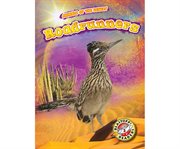 Roadrunners cover image cdn