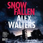Snow fallen cover image cdn