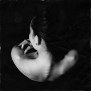 Breathless cover image cdn