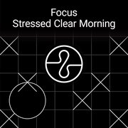 Focus: stressed clear morning cover image cdn