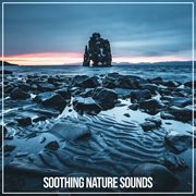 Soothing nature sounds cover image cdn
