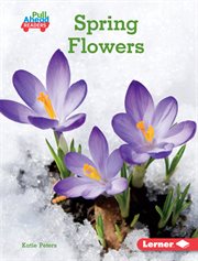 Spring flowers cover image cdn