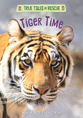 Tiger time  cover image cdn