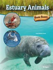 Estuary animals cover image cdn