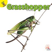 Grasshopper cover image cdn