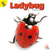 Ladybug cover image cdn