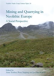 Mining and quarrying in neolithic Europe : a social perpsective cover image cdn