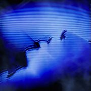 Encrypt cover image cdn