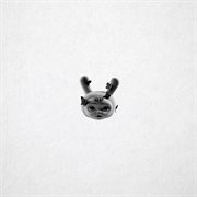 Loopy bastard cover image cdn