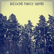 Relaxing forest sounds cover image cdn