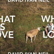 What is love cover image cdn