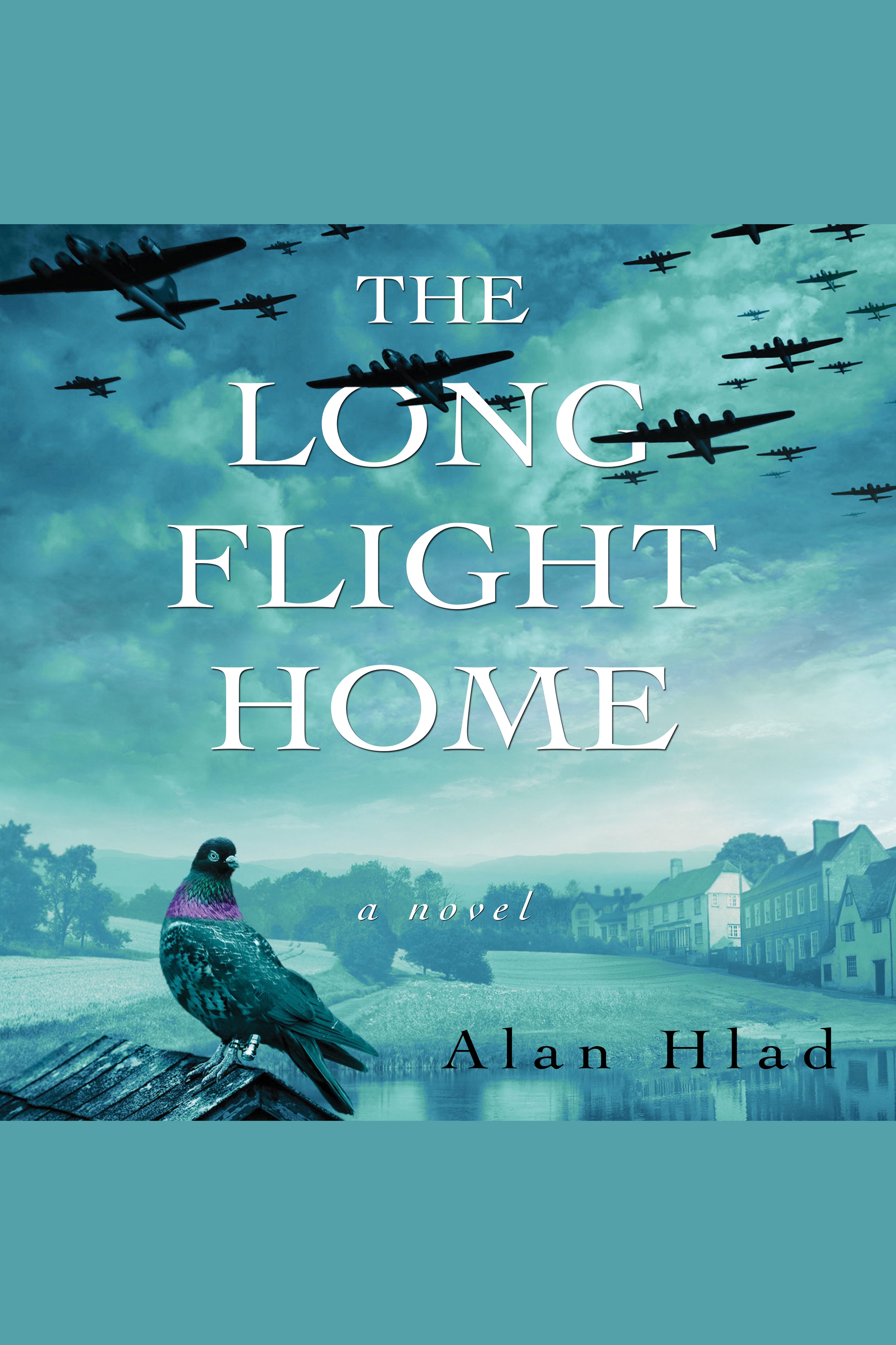Long flight home cover image cdn