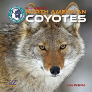 All about North American coyotes cover image cdn