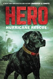Hurricane rescue cover image cdn