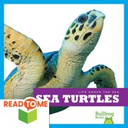 Sea turtles cover image cdn