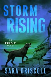 Storm rising cover image cdn