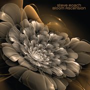 Bloom ascension cover image cdn