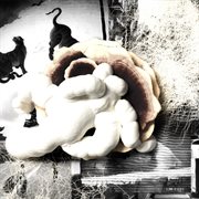 Entanglement cover image cdn