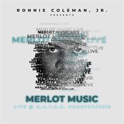 Merlot music cover image cdn